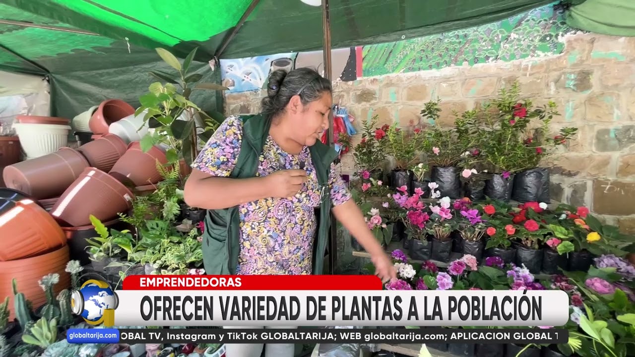 CRECE OFERTA DE PLANTAS DE TODO TIPO EN AV. POTOSÍ