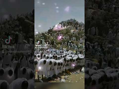 شوف لما بقينا فى الحرم يا رب