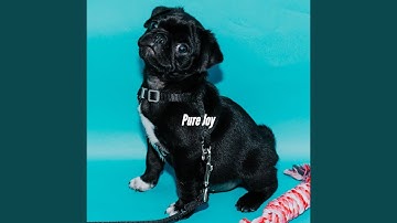 Lonely Backdrops for Amusing Days