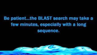 Using BLAST