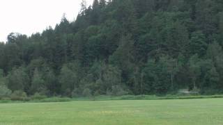Just some low passes over the camera with Strykers