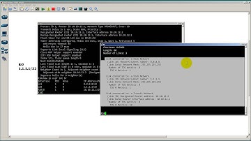 RouterGods Hangout in HD - Beginner OSPF Part 1