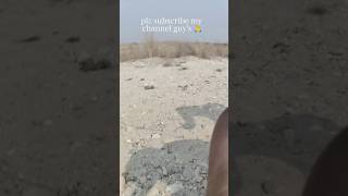 driver ne gera diya // rasta he bul gaya guy's