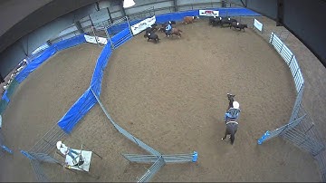 Big Sky Ranch Sorting Saddle Series #6 - Open - Round #3 - Ride #8
