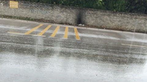 Vải Thiều Lục Ngạn đang phát trực tiếp! Cơn Mưa Vàng