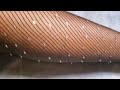 Rhinestone Embedded Fishnet Pantyhose