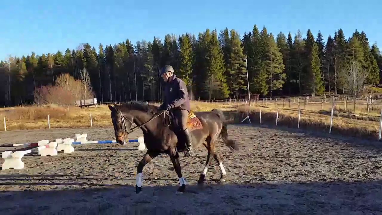 Hoppryttare wannabe(3)