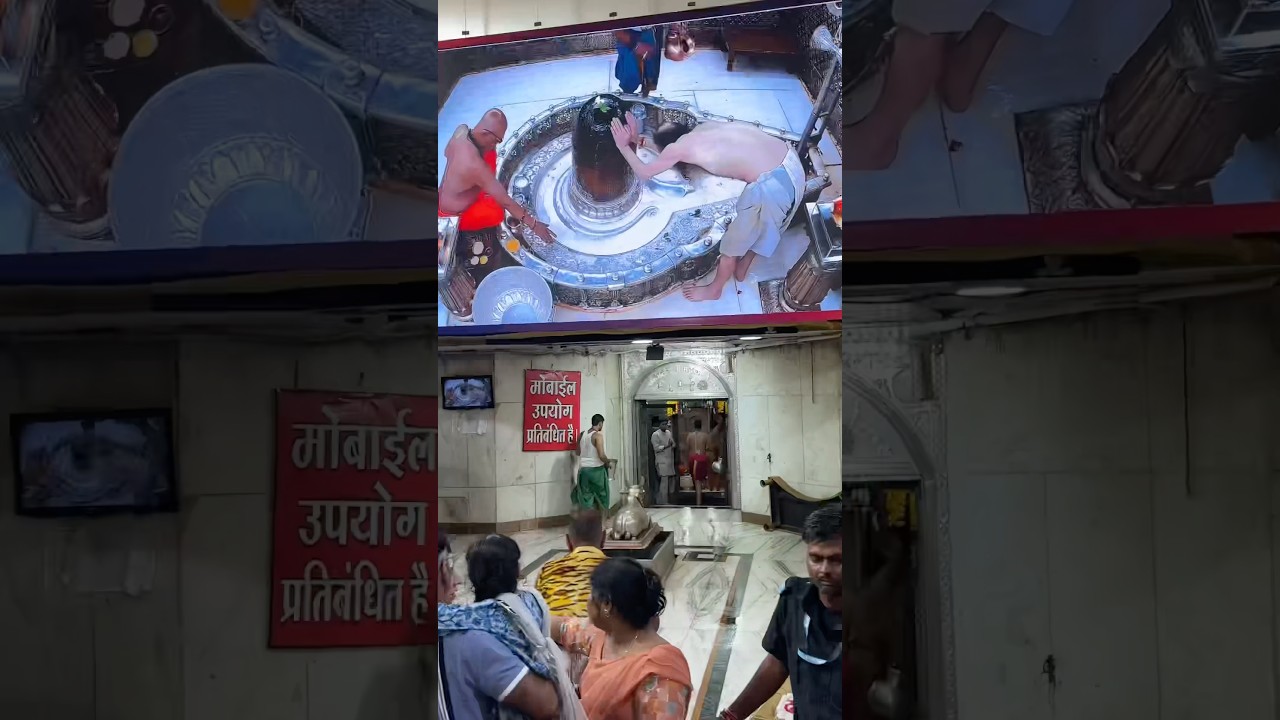 Mahakal ￼🙏🏻 #mahakal #bholenath #bhole #bholebabakijai #ujjain #ujjainmahakal #shorts #ytshorts