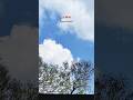 Kanava kanvaa lyrics lyricedits statusvideos edits fyp spotify sky_vibyy mp3