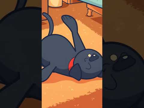 School Day Dreams Album Cover