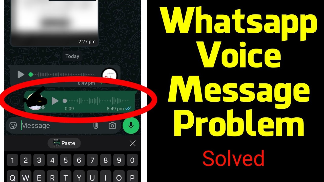 Whatsapp Voice Message Problem On Iphone