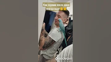Как же хорошо когда дома всегда ждут☺️🐥ожереловый попугай Микки#топотусенькость #шкодюсенькость