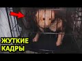 5 СТРАШНЫХ Видео не для Слабонервных. Ужасы. Страшные видео