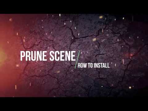 Prune Scene Установка