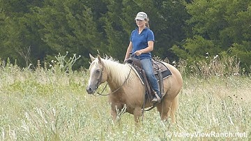 Salutes Heart - trail riding! - ValleyViewRanch.net