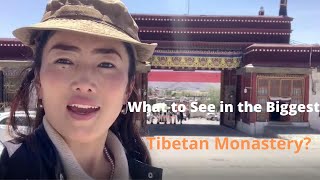 What to See in the Biggest Tibetan Monastery  Drepung  Monastery