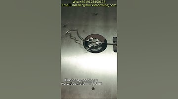 2D CNC WIRE BENDING MACHINE  #video #production #machine #factory #machinery