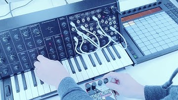 Ableton Push Sequencing MIDI to Korg MS-20 mini Sample and Hold Patch to Electro Harmonix Memory Boy