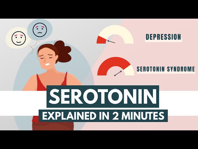 Serotonin |  Neurotransmitters explained class=