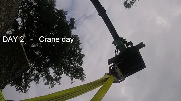 arborist Oak tree removal using crane + rigging