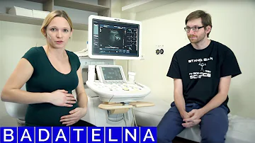 Co jsou zkratky z ultrazvuku?