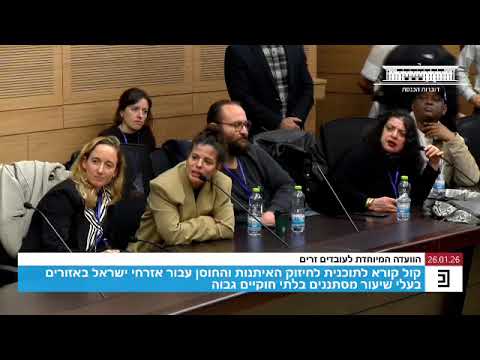 סערה בדיון בוועדה המיוחדת לעובדים זרים תוכנית לחיזוק האיתנות והחוסן באזורים של מסתננים בשיעור גבוה 