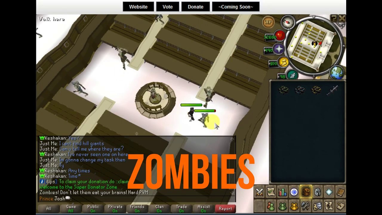 Insanity RSPS | New RSPS 2017 | Custom Bosses | Minigames