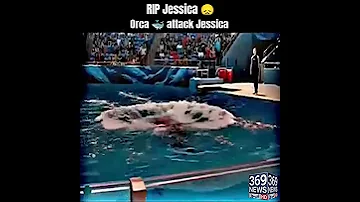 The HORRFYING LAST MOMENTS OF ORCA TRAINER JESSICA RADCLIFFE 