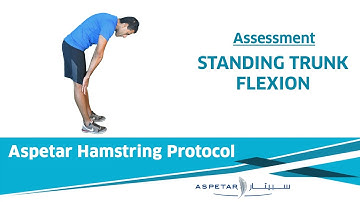 4. Assessment - Standing Trunk Flexion