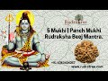 Attain health  wellbeing 5mukhi rudraksha  yellow sapphireom hreem namah httpsrudratreecom