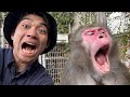 やばい！！！！どうしよう！！！！