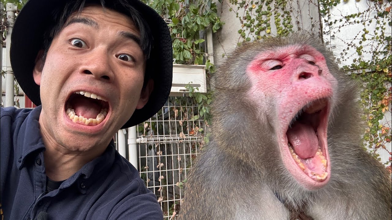 Oh no! What do I do?! - YouTube