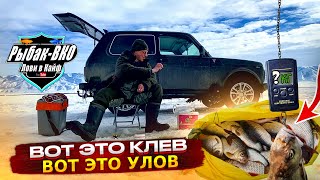 ВОТ  ЭТО  КЛЕВ! ВОТ ЭТО УЛОВ! РЫБАЛКА  В  МАРТЕ./THAT'S A BITE! WHAT A CATCH! FISHING IN MARCH.