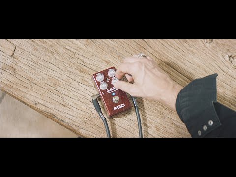 Video 5
