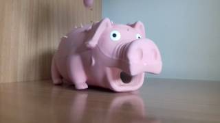 PIG.mp4