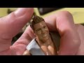 CHRIS JERICHO REACTS TO LEMONADE