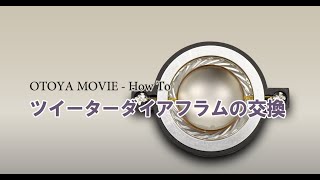 Electro-Voice ( エレクトロボイス ) 81514XX ダイヤフラム 送料無料