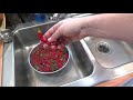Simple DIY Food Dehydrator for Preserving Peppers