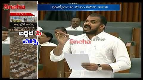 Minister Anil Kumar Sensational Comments on TDP MLA Butchaiah Chowdary |AP Assembly 2019|| Sneha TV