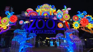 Kansas City Zoo Glowild 2023 Vlog