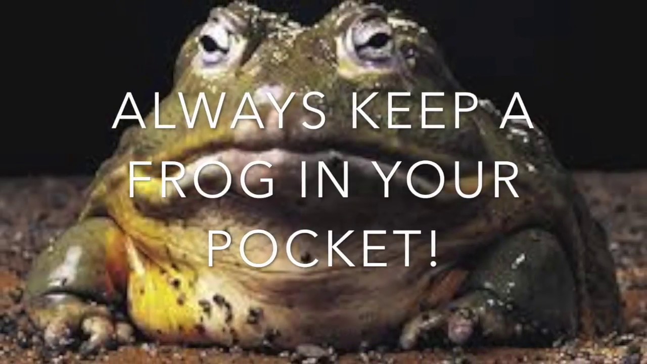 Crosschecking a Roux-Ga-Roux (new video edit)