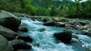 River Sounds for Sleeping. Waterfall Flowing Mountain Forest 24/7. Waterfall Sounds, White Noise #1