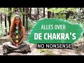 De chakras uitleg  wat zijn chakras hoe werken chakras