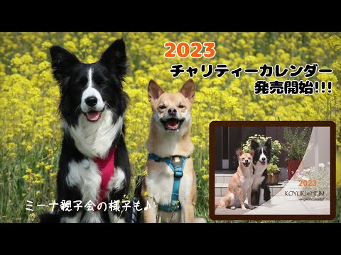 【2023】チャリティーカレンダー発売開始！ミーナ親子会の様子を少し...