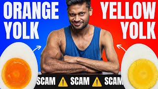 Download Lagu Your Orange Egg Yolk Is FAKE 🥚 – Poultry Industry Scam Exposed 🚨 MP3