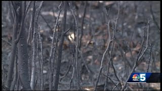 Altona forest fire now 65% contained