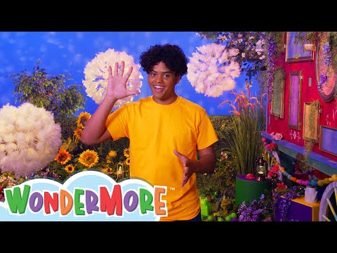 I Wonder… What Can Hands Do? | Wondermore Kids