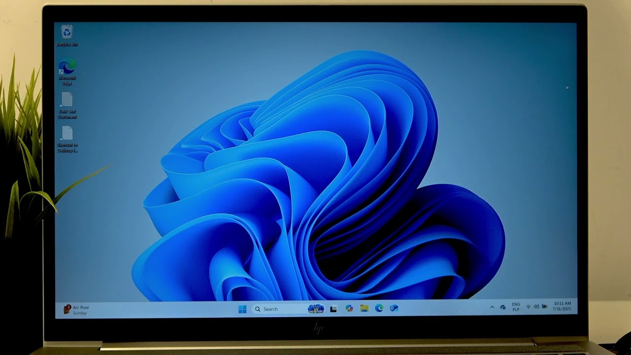 HP ELITEBOOK 855 – How to Get Cursor Back on Laptop