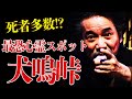 ●者多数⁉最恐で最凶の心霊スポット”犬鳴峠”で稲川が見たものとは… #怪談 #稲川淳二 #ホラー『稲川淳二の最凶怪談』