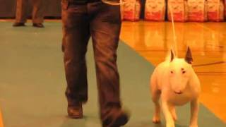 Lydsill The Untouchable.avi